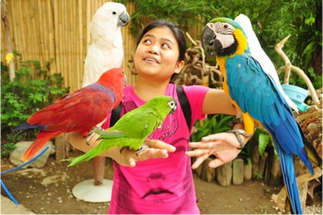 Vouchers 'n More: The Manila Zoo: P120 for 1 Kinder Zoo Entrance ...