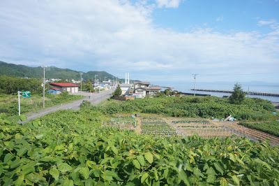 津軽線より見える車窓