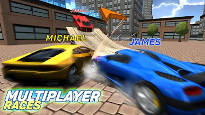 Multiplayer Driving Simulator LITE APK