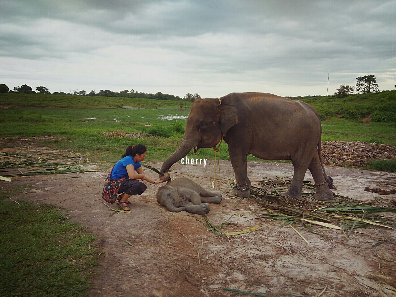 a little bit of my everyday Menikmati Gajah di Pelupuk Mata