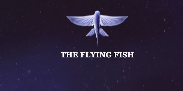 The Flying Fish by Murat Sayginer is a Short Film That is Both a Trip and Thought-Provoking