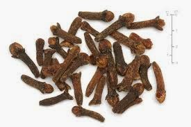 Clove to treat earaches Clove to treat earaches