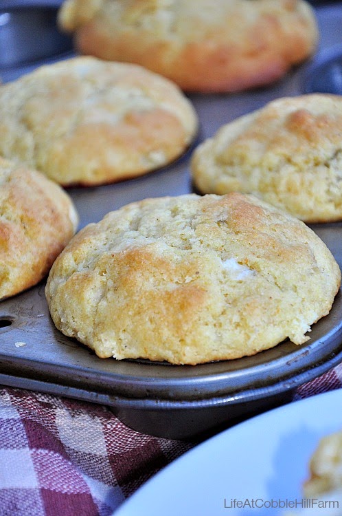 America S Test Kitchen Cornbread Recipe Sour Cream America S Test Kitchen Cornbread Recipe Sour Cream