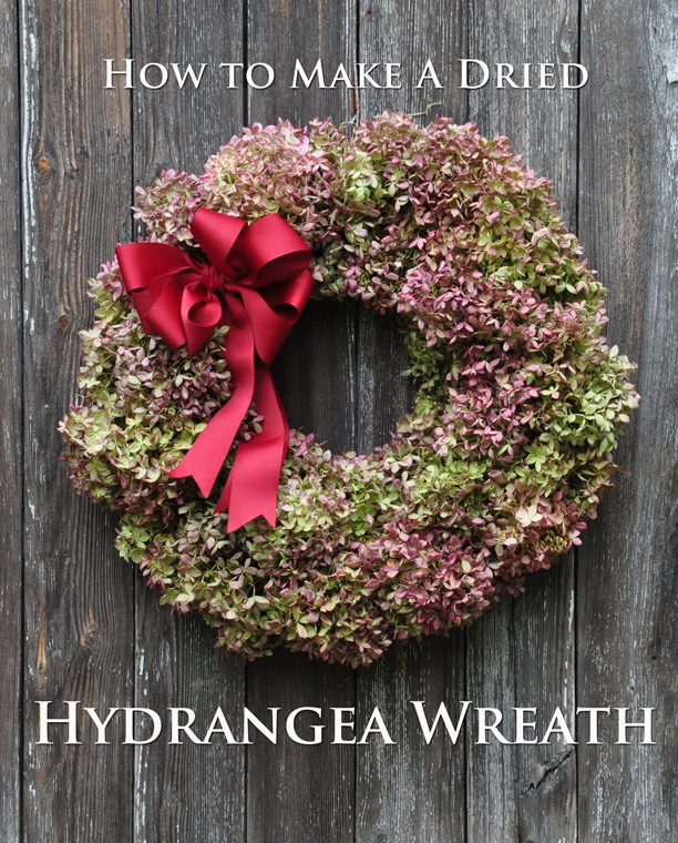 How to Dry Hydrangeas and Make a Dried Hydrangea Wreath - A Country Girl's  Life