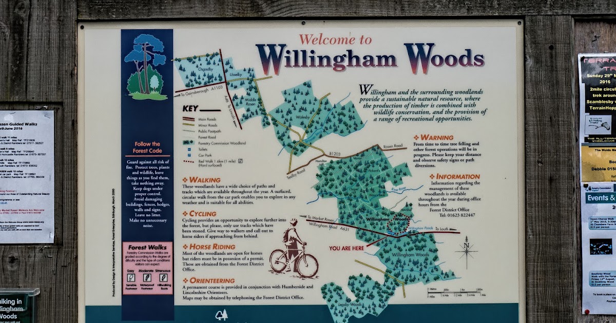 Lincolnshire Cam Willingham Woods. Set 1 of 3.