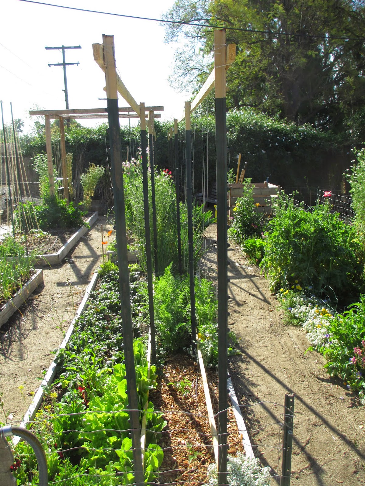 Andie's Way DIY Tomato Trellis