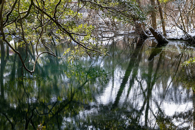 #photo #landscape #sigma #foveon #sdquattroh #japan #yamagata #yuza #山形県 #遊佐町 #山形帝國 #写真 #風景写真