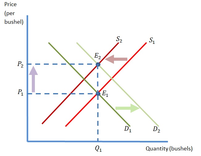 Economists in The Making Drought, Corn and Consumers