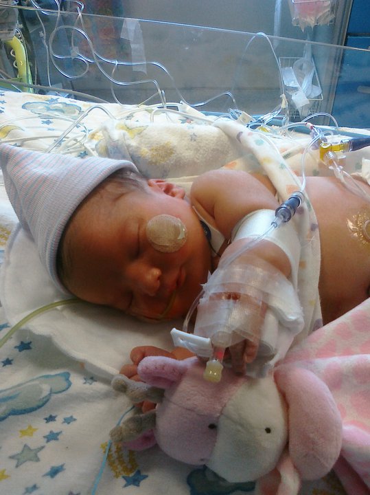 Xtra Special Heart Day 24 Meet Aurelia and Jackson!!!