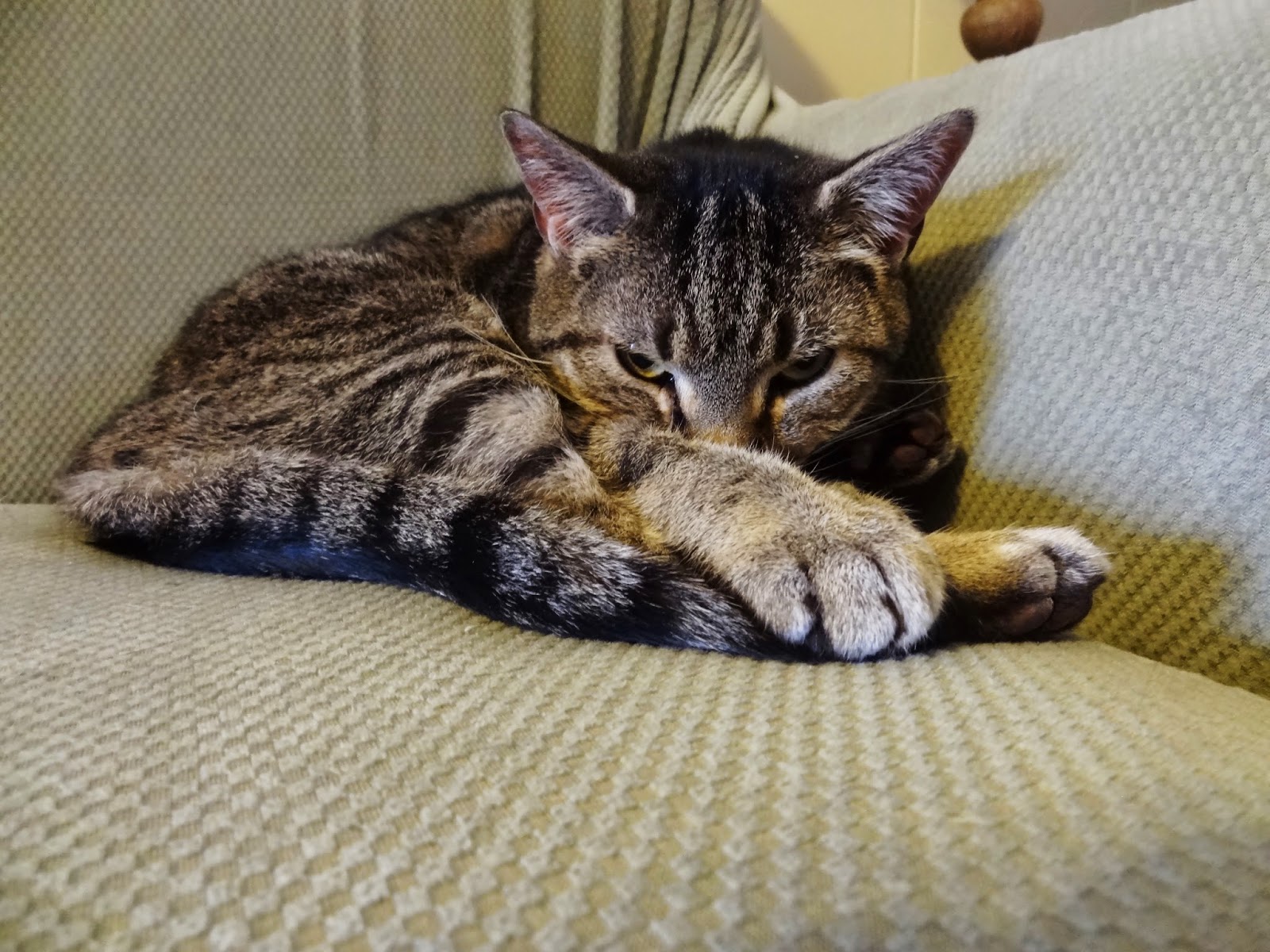 Live and LearnToss and Turn Feb 8, 2015