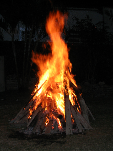 CASA DA FLORESTA