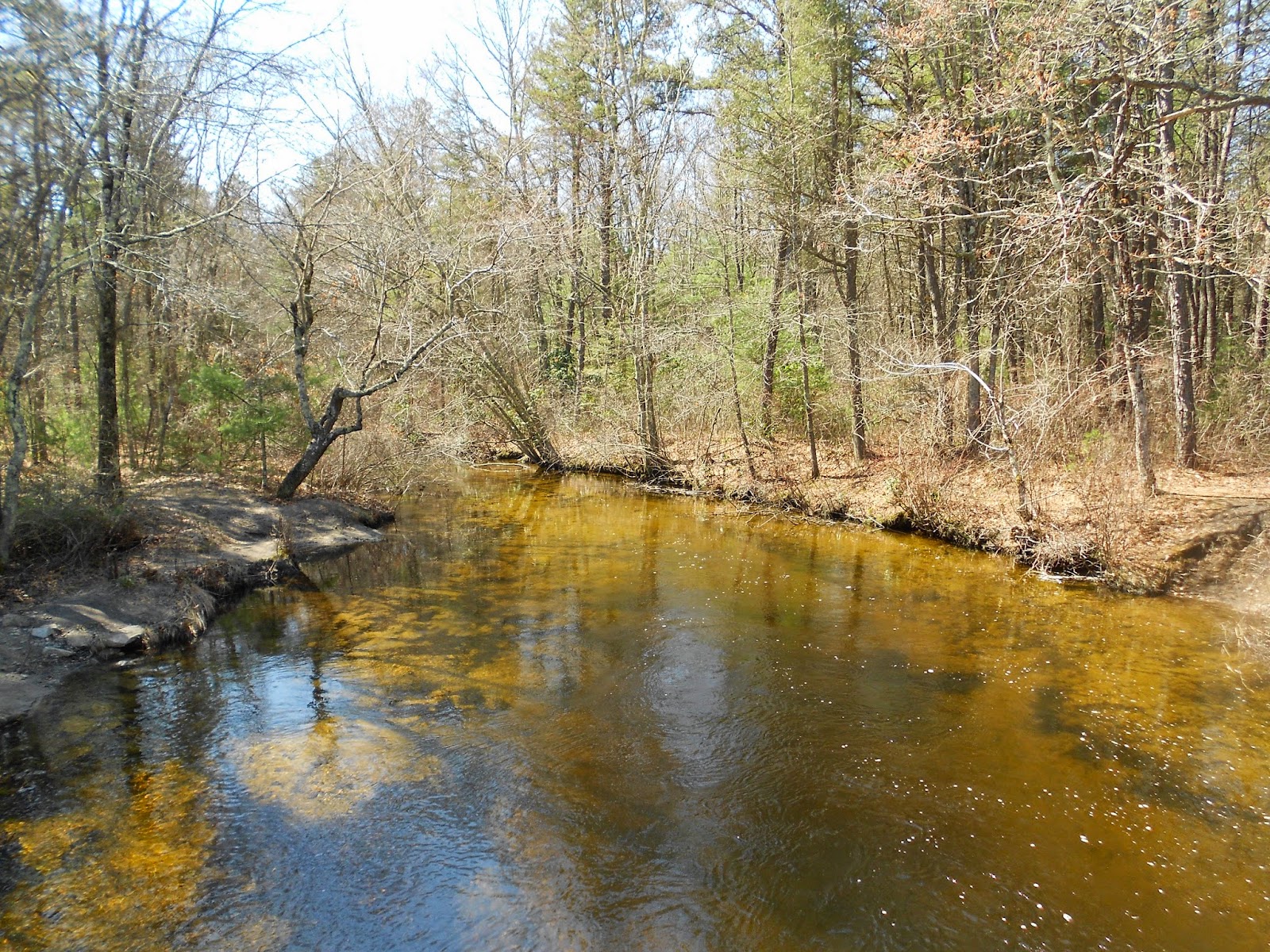 Breakheart Trail Running NorthSouth Trail Trek Section 3.