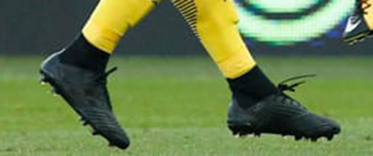 predator 18.1 blackout