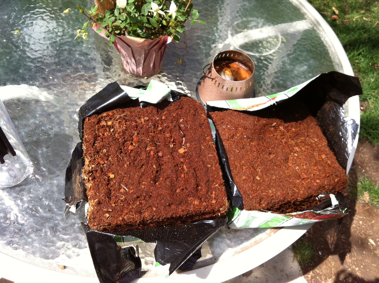 "Straw Hat And Old Dirty Hankies, Mopping The Face Like A Shoe"