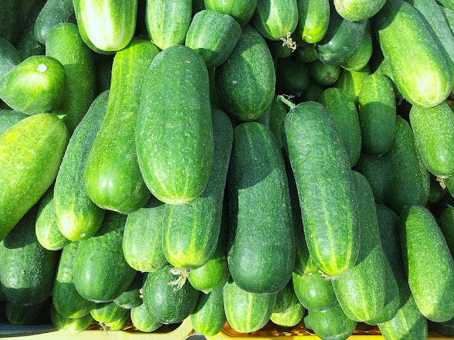 Cucumber Nutrition, Cucumber-Benefits, Benefits-Of-Cucumbers, Cucumber-Health-Benefits, Health-Benefits-Of-Cucumbers, Nutritional Value Of Cucumbers, What-Are-The-Benefits-Of-Cucumbers, Cucumbers, Cucumber-And-Weight-Loss, How To Store Cucumbers, How To Buy Cucumbers, 