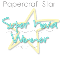 Papercraft Star Winner #144