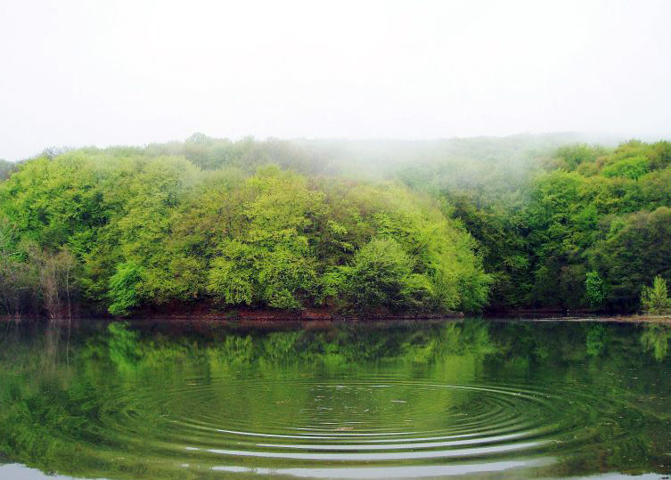Кутузовское озеро крым