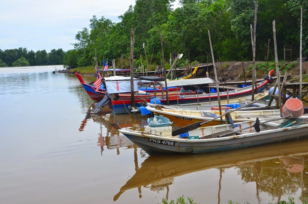My little vegetable garden River and boats