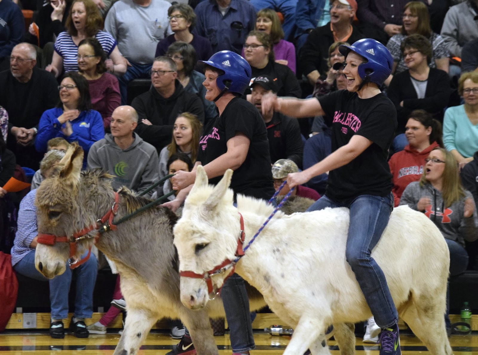 Dorchester Times Donkey Basketball Fundraiser For FBLA Draws Over 600