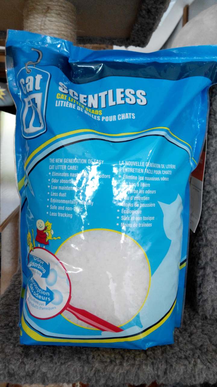 Pet at Farm in the City