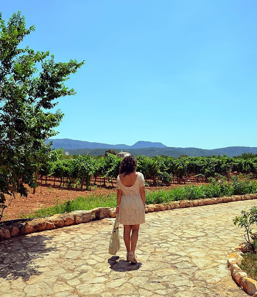 moda y viñas, bodega, viñedos, castellón, fashion blogger, mi vestido azul