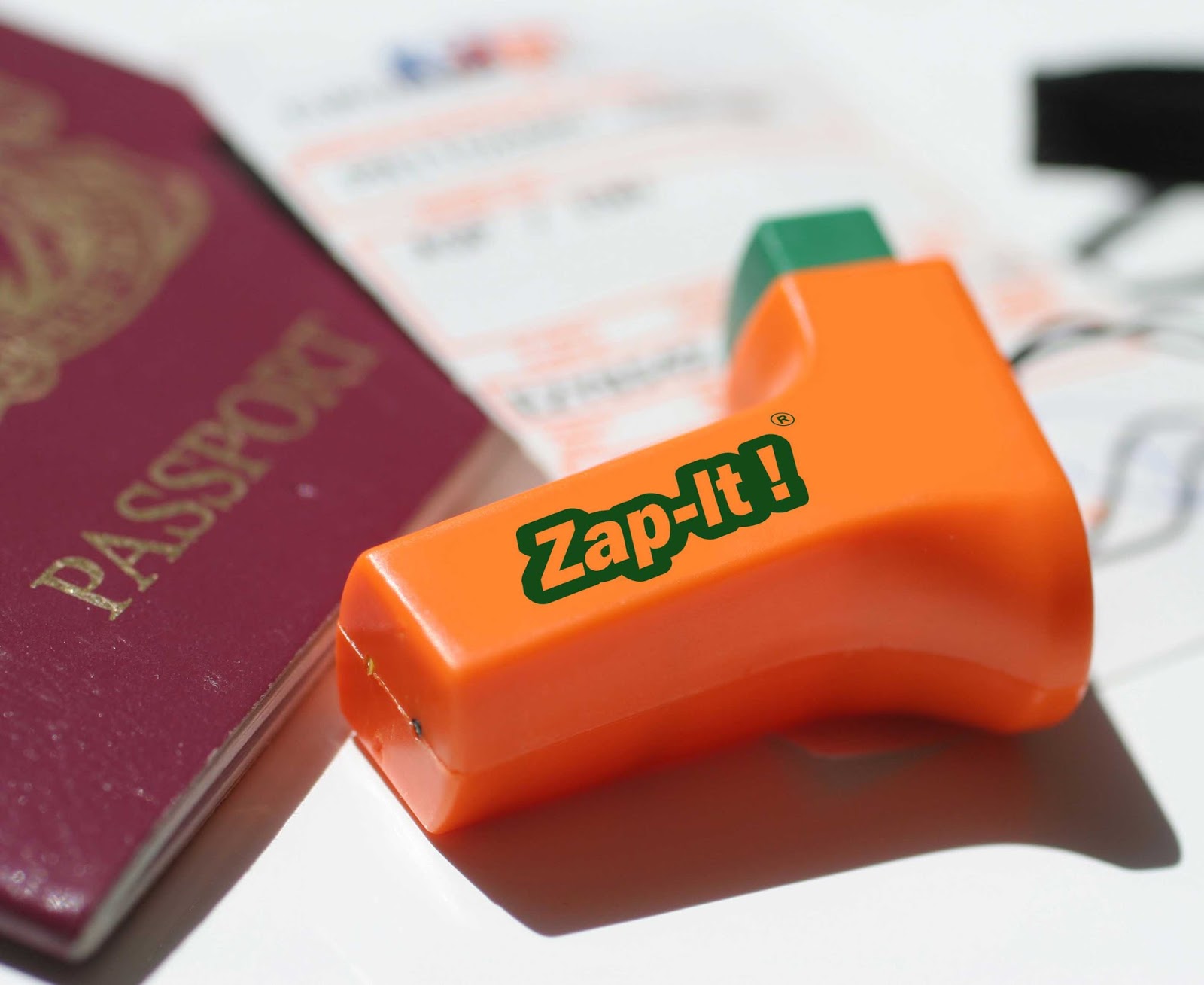 Beat the Bugs with Zap It! The Mini Mes and Me