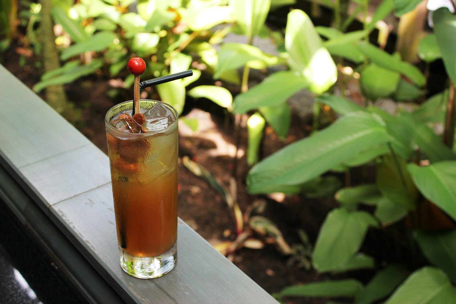 Tea at the Ginger Garden Halia theMOOSE makan travel 画画 * a Singapore food and travel blog