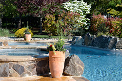 pool plants around pots pools container landscaping potted flowers planting flower garden princeton planter patios