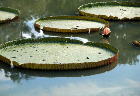 Anh dep moi cong bo ve Sai Gon thap nien 1960 (1) - Anh 23