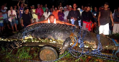 Giant Crocodile in Philippines