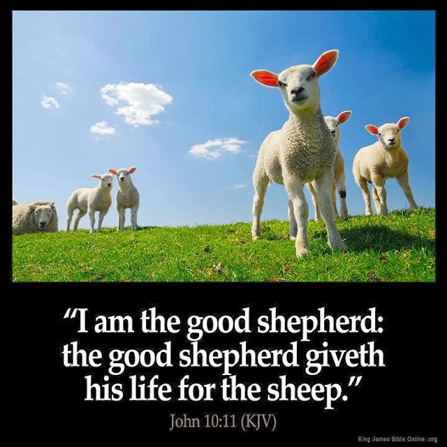 Good Shepherd