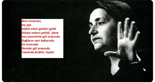 gulten akin agidimiz turkumuz zafer