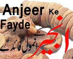 Anjeer Ke Fayde-Benefits of figs in hindi Urdu