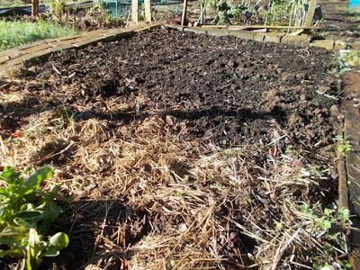 Empty vegetable bed Getting the vegetable garden ready for spring Green Fingered Blog