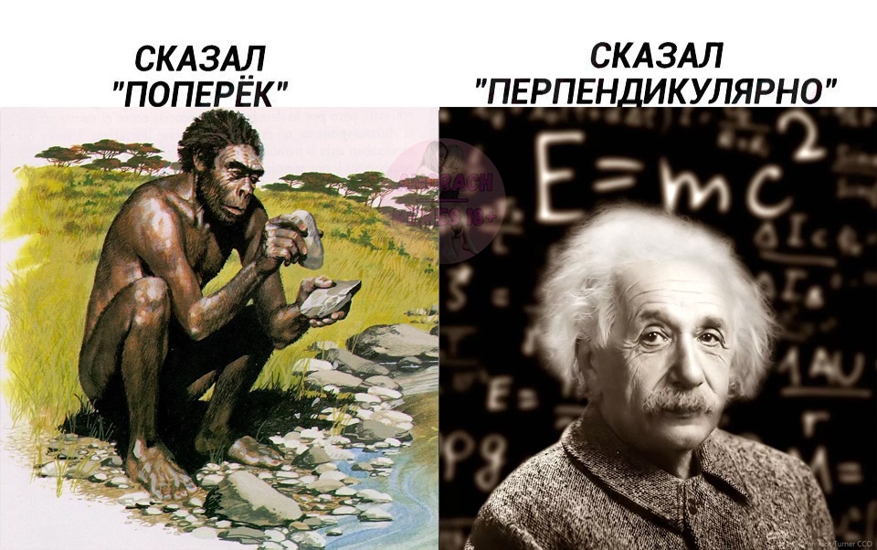 вдоль и поперек. фразеологизмы встать поперек горла. поперек значение. рисунок вдоль и поперек. перпендикулярно мем.