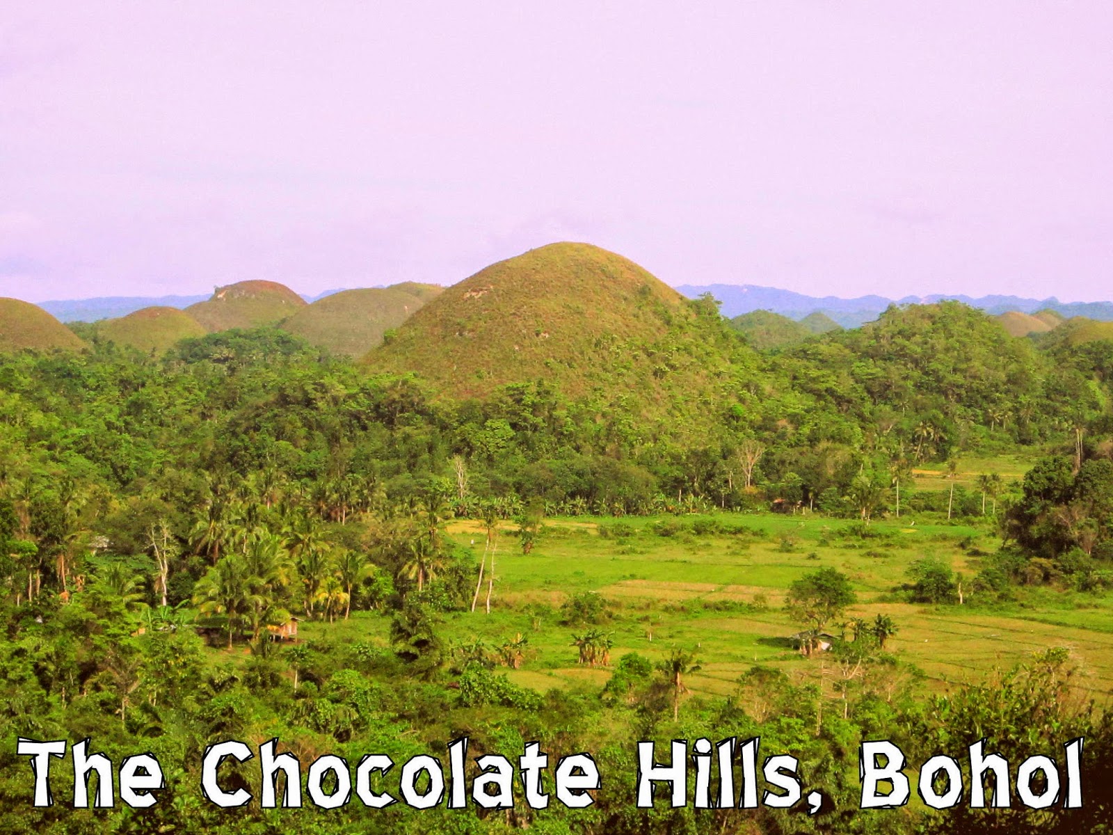 The Broken Halo The Crazy Things We Do in This Lifetime Chocolate