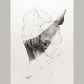 04-Baby-Rhino-Martin-Aveling-Animal-Portraits-www-designstack-co