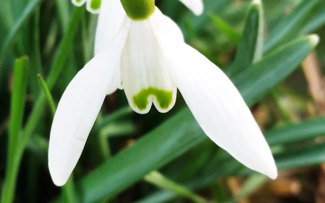 Fruhling Wo Bist Du 30 Rockt