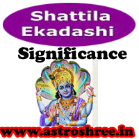 free tips from astrologer for shattila ekadashi