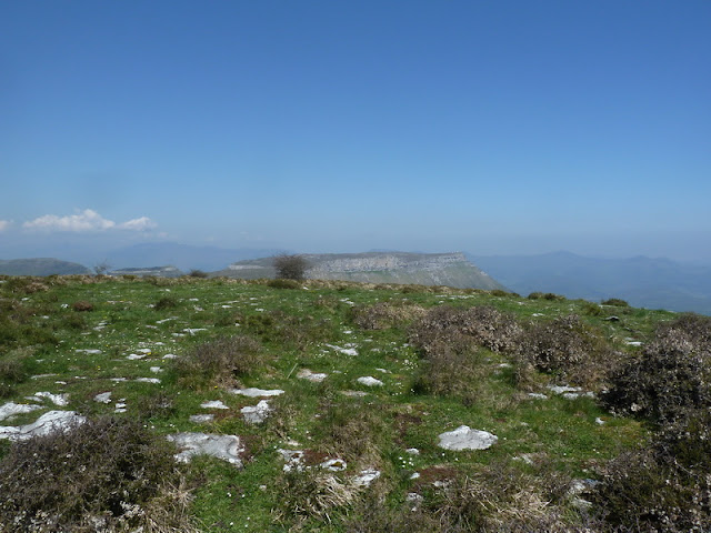 GURDIETA Y ALTO DE LA EGAÑA (El esplendor de la primavera) P1160330_resize