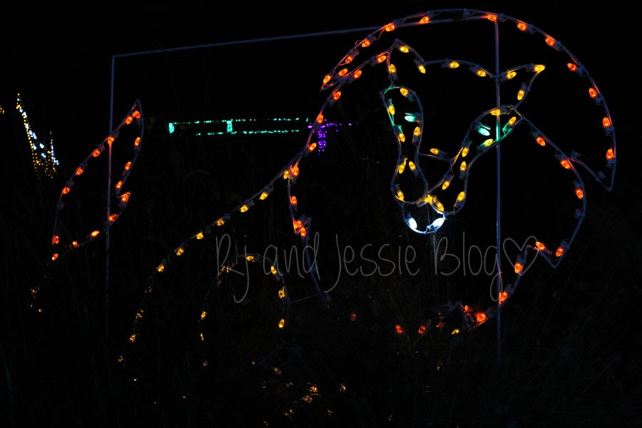 Sunday Snapshot Zoo lights at the Jacksonville zoo