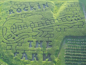 El muro vegetal: LABERINTOS DE MAIZ