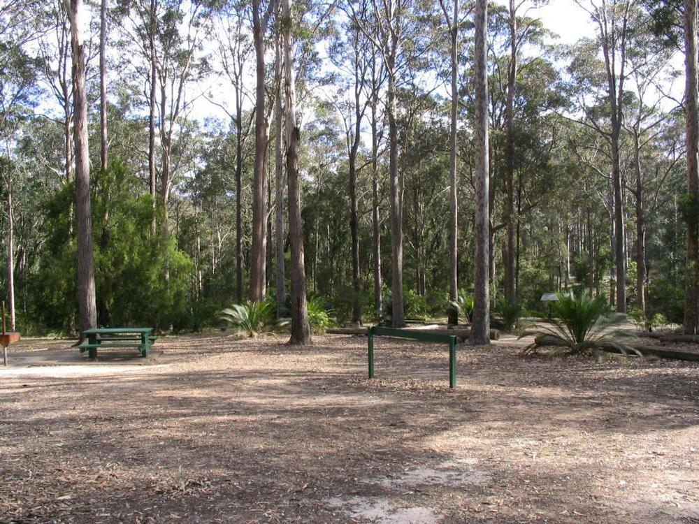 Robbiebago Adventures Free camping at Bodalla State Forest