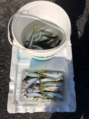 【豪享旅行 浪漫土耳其 13 天自由行】不土不快 (13