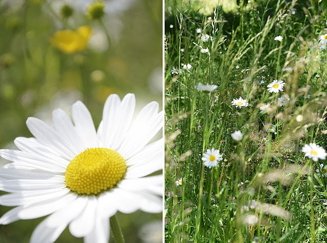 Deko Und Diy Blog Kreative Deko Ideen Fur Ein Schones Zuhause