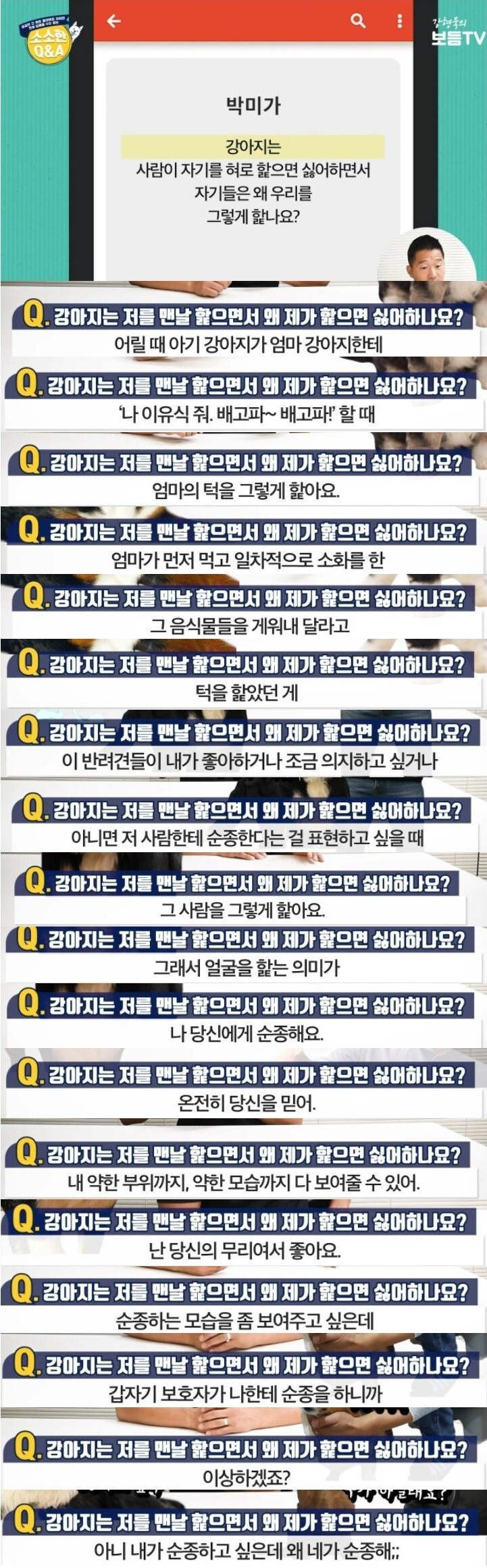 제가 개를 핥으면 개는 왜 싫어하나요?