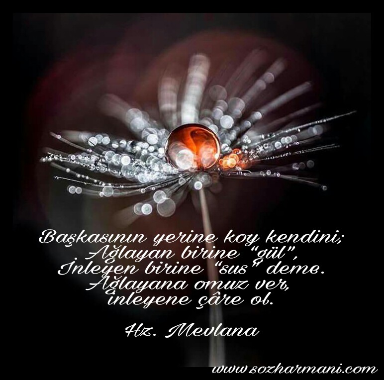 Empati Sozharmani Com