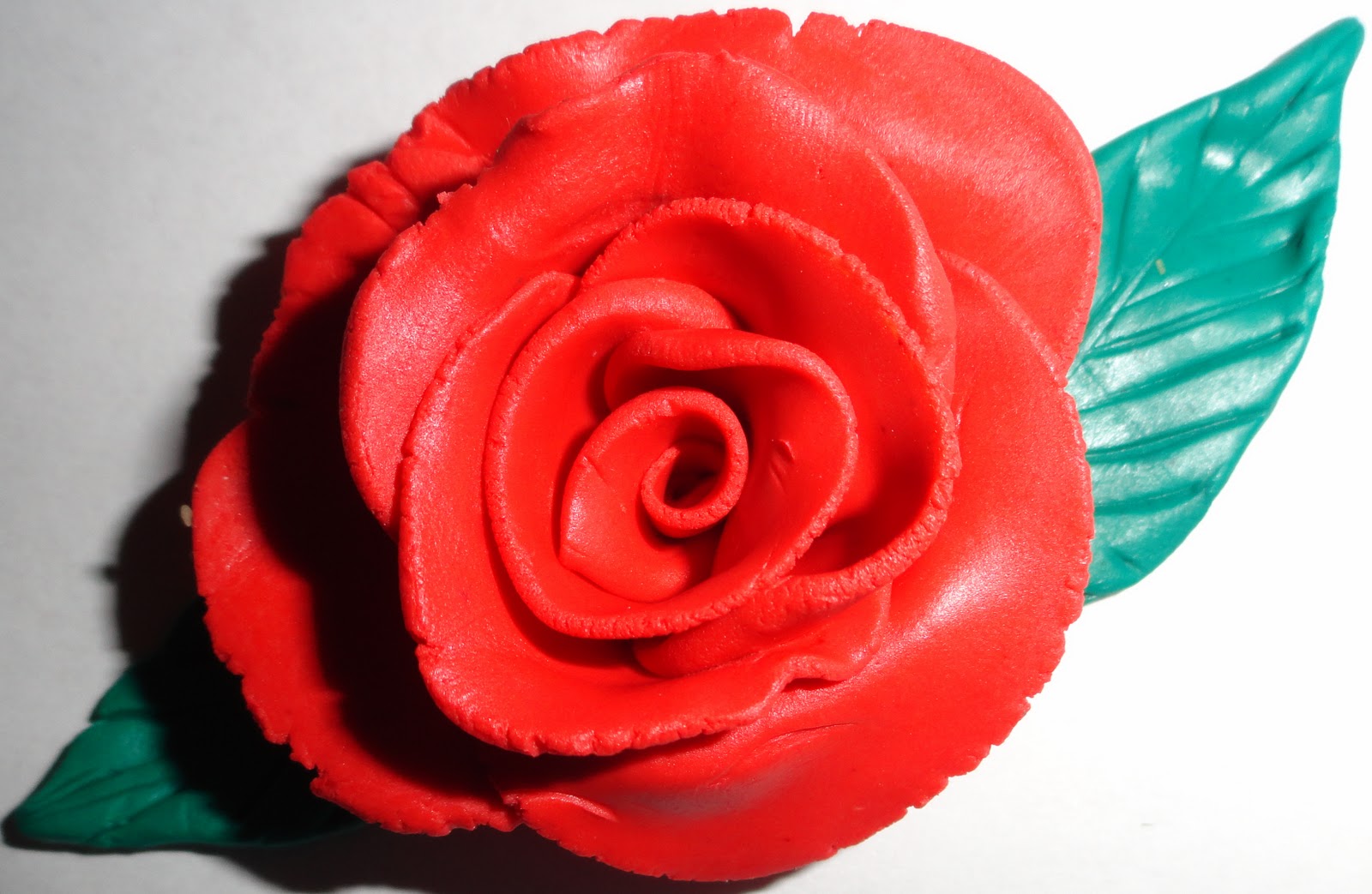 ::My Hobbies::: Red Rose