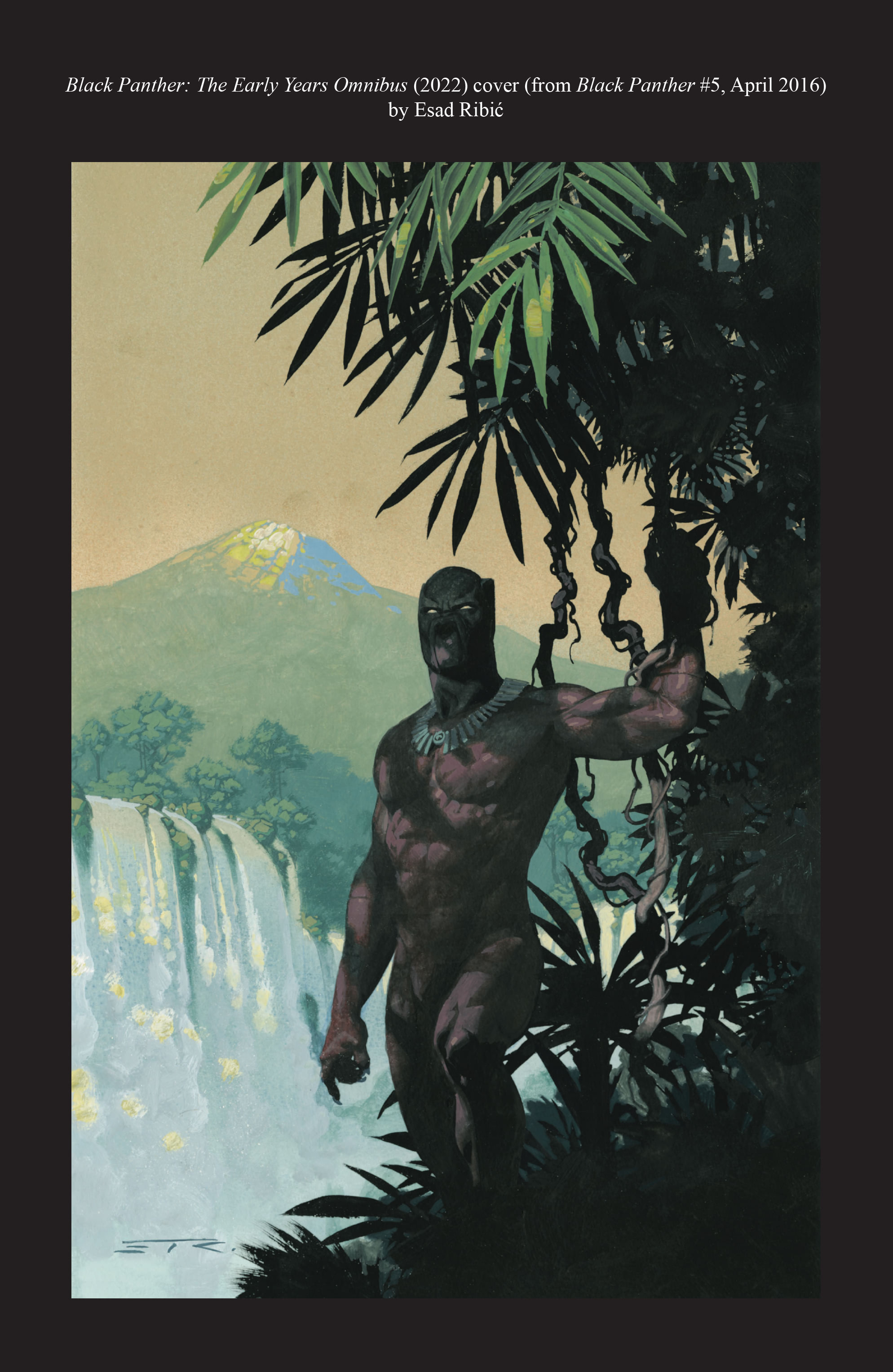 Read online Black Panther: The Early Years Omnibus comic -  Issue # TPB (Part 9) - 77