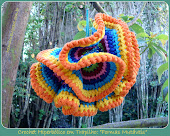 Crochet Hiperbólico: "Formas Mutáveis"